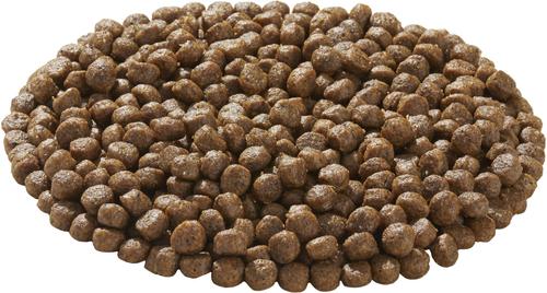 Show full view: American Natural Premium Grain-Free Ocean Fish Meal & Potato Recipe Dry Dog Food, 12-lb bag slide 4 of 8