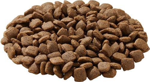 Show full view: American Natural Premium Original Recipe Dry Dog Food, 12-lb bag slide 4 of 8