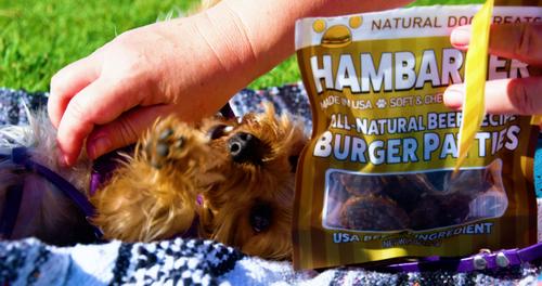 Show full view: American Pet Food Hambarker All Natural Grain-Free Dog Treat, 5-oz bag, 15 count slide 5 of 9