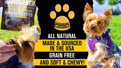 Show full view: American Pet Food Hambarker All Natural Grain-Free Dog Treat, 5-oz bag, 15 count slide 7 of 9