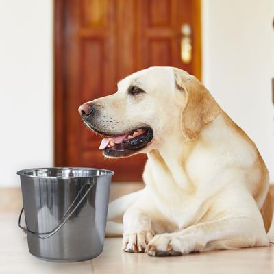 Show full view: AmeriHome Assorted Stainless Steel Bucket Set slide 5 of 7