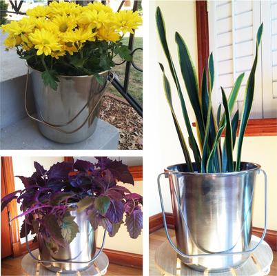 Show full view: AmeriHome Stainless Steel Bucket Set, 3 count, Medium slide 4 of 5