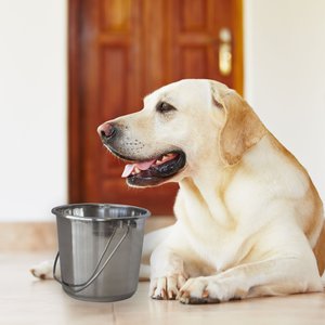 AmeriHome Stainless Steel Bucket Set, 3 count, Small