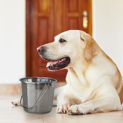 Show full view: AmeriHome Stainless Steel Bucket Set, 3 count, Small slide 3 of 5