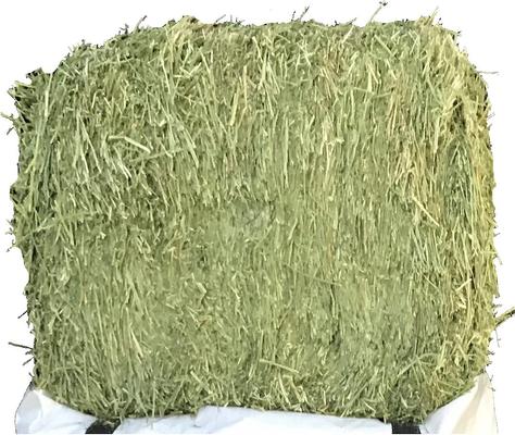 Show full view: Ametza Compressed Alfalfa Hay Bale Horse Forage, 50-lb bale slide 2 of 5