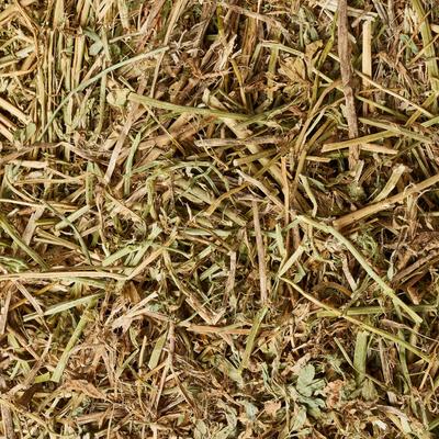 Show full view: Ametza Compressed Alfalfa Hay Bale Horse Forage, 50-lb bale slide 4 of 5