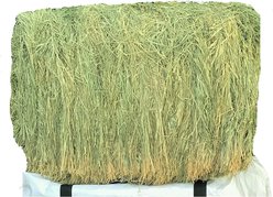 Ametza Premium Compressed Bermuda Hay Bale Horse Forage, 50-lb bale slide 2 of 4