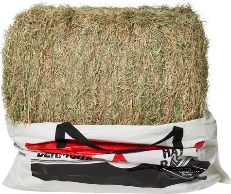 Show full view: Ametza Premium Compressed Bermuda Hay Bale Horse Forage, 50-lb bale slide 3 of 5