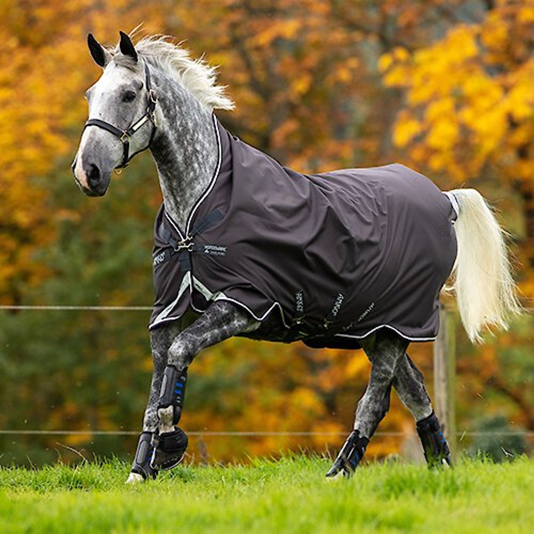 Horseware Amigo Bravo 12 Wug Lite Horse Sheet, 72