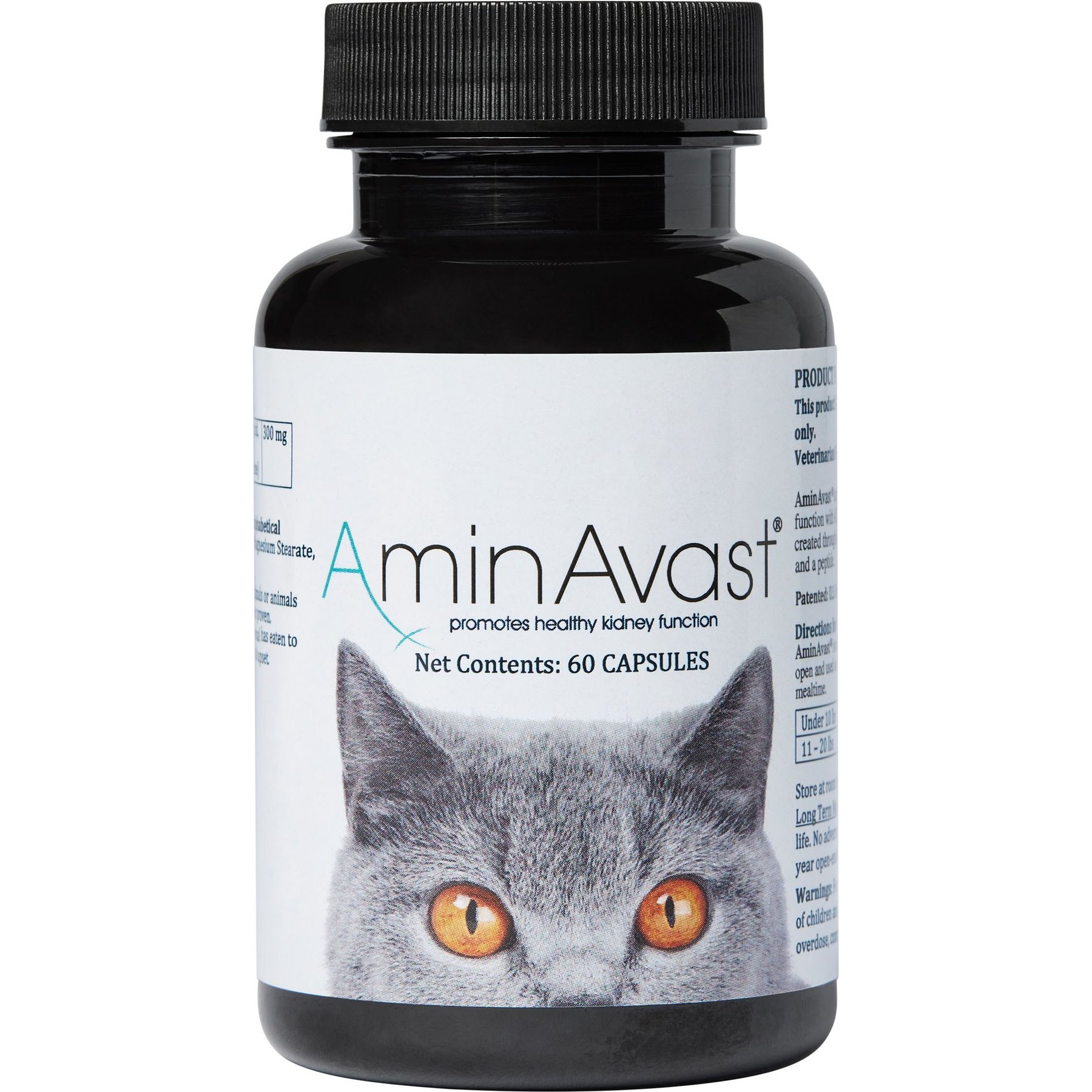 AMINAVAST Kidney Support Cat Supplement, 60 count - Chewy.com