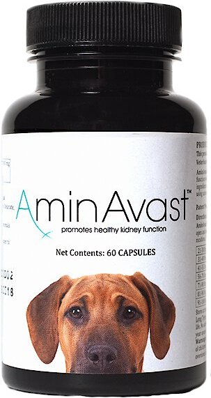 AMINAVAST Kidney Support Dog Supplement, 60 count - Chewy.com