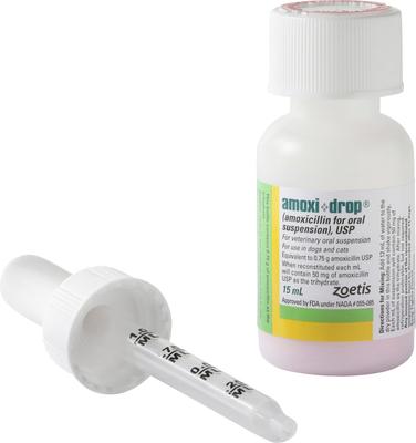 Show full view: Amoxi-Drop (Amoxicillin) Powder for Oral Suspension for Dogs & Cats, 50-mg, 15-mL slide 5 of 7