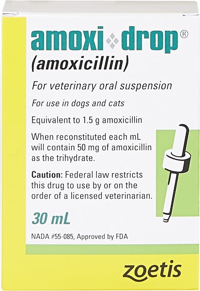 Amoxi-Drop (Amoxicillin) Oral Suspension for Dogs & Cats, 50-mg