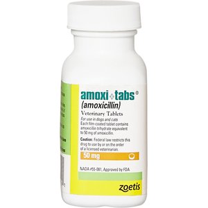 Amoxicillin (Generic) Capsules for Dogs & Cats