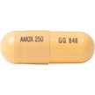 Show in main carousel: Amoxicillin (Generic) Capsules for Dogs & Cats, 250-mg, 120 capsules slide 3 of 6