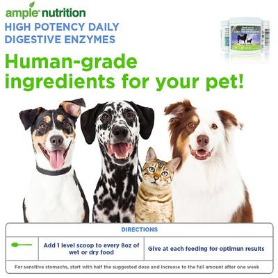 Show full view: Ample Nutrition High Potency Daily Digestive Enzymes Dog & Cat Supplement, 7.05-oz jar slide 4 of 7