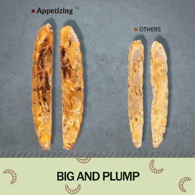 Show full view: Amzey Appetizing Bugs Premium Chicken & Bird Treats, 5.5-lb box slide 5 of 8