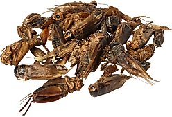 Amzey Appetizing Dried Crickets Fish Food, 0.5-lb bag slide 2 of 2