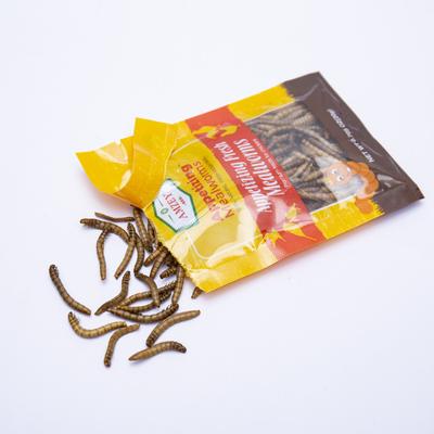 Show full view: Amzey Appetizing Fresh Mealworms Treats, 8.46-oz bag, 12 count slide 3 of 7