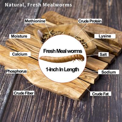 Show full view: Amzey Appetizing Fresh Mealworms Treats, 8.46-oz bag, 12 count slide 4 of 7