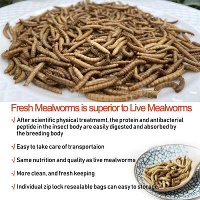Show full view: Amzey Appetizing Fresh Mealworms Treats, 8.46-oz bag, 12 count slide 5 of 7