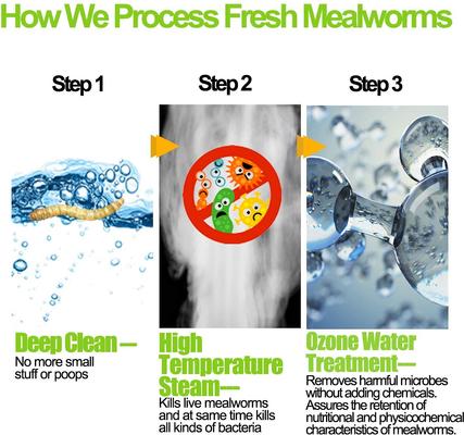 Show full view: Amzey Appetizing Fresh Mealworms Treats, 8.46-oz bag, 12 count slide 6 of 7