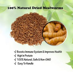 Amzey Appetizing Mealworms Wild Bird Treats, 1-lb bag slide 2 of 3