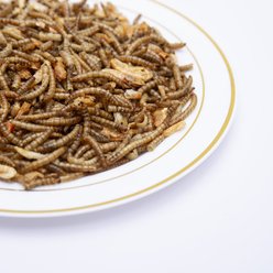 Amzey Mealworms & Shrimp Treats, 1-lb jar slide 2 of 4