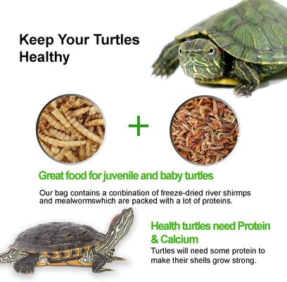 Show full view: Amzey Mealworms & Shrimp Treats, 1-lb jar slide 4 of 5