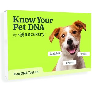 Ancestry Breed Identification Dog DNA Test Kit