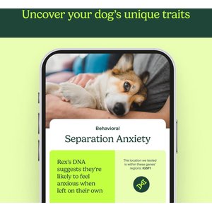 Ancestry Breed Identification Dog DNA Test Kit
