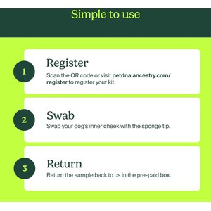 Ancestry Breed Identification Dog DNA Test Kit