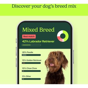 Ancestry Breed Identification Dog DNA Test Kit