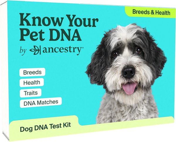 Ancestry Breed Identification & Genetic Health Screening DNA Test Kit for Dogs