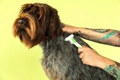 Show full view: Andis Compact Pet Deshedding Tool slide 2 of 4