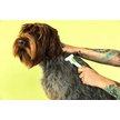 Show in main carousel: Andis Compact Pet Deshedding Tool slide 2 of 4