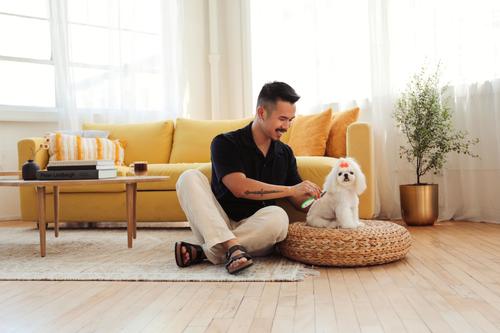 Show full view: Andis Flea Comb Dog Grooming Tool, Green/White slide 6 of 6