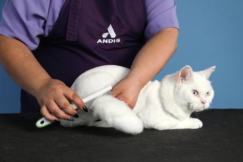 Show full view: Andis Flea Comb Dog Grooming Tool, Green/White slide 5 of 6