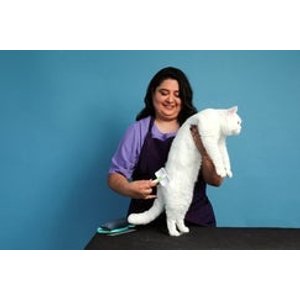 Andis Medium Firm Pet Slicker Brush