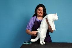 Show full view: Andis Medium Firm Pet Slicker Brush slide 3 of 7