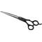 Show in main carousel: Andis Premium Curved Shear, 8", Right Handed slide 1 of 4