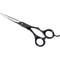 Show in main carousel: Andis Premium Straight Shear, 6.25", Right Handed slide 1 of 2