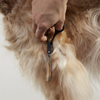 Show full view: Andis Premium Thinning Shear, 6.5", Right Handed slide 3 of 5