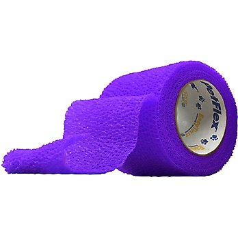 Cat Bandages, Wraps Splints: Low Prices (Free Shipping) Chewy