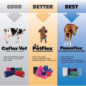 Andover Healthcare PetFlex Paw Print Dog, Cat & Small Animal Bandage, Blue Paws