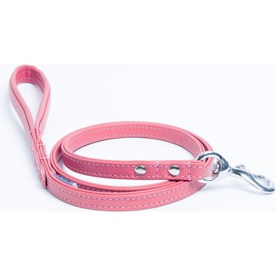 Angel Angel Alpine Padded Handle Dog Leash, Bubblegum Pink, Medium: 4-ft long, 1/2-in wide