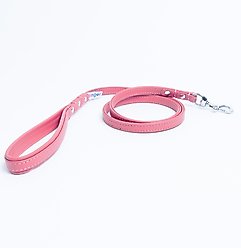 Angel Alpine Padded Handle Dog Leash, Bubblegum Pink, Medium: 4-ft long, 1/2-in wide slide 2 of 2