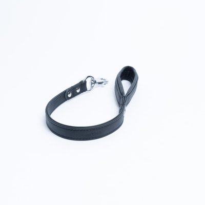 Angel Angel Alpine Padded Handle Dog Leash, Midnight Black, Small: 2-ft long, 3/4-in wide