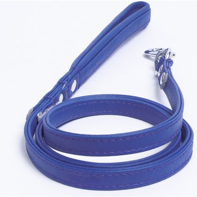 Angel Angel Alpine Padded Leather Dog Leash, Blue, 48 x 1/2-in