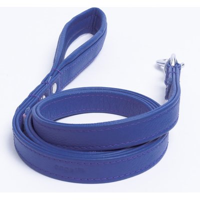 Angel Angel Alpine Padded Leather Dog Leash, Blue, 48 x 3/4-in